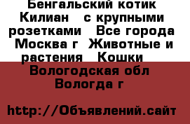 Бенгальский котик Килиан , с крупными розетками - Все города, Москва г. Животные и растения » Кошки   . Вологодская обл.,Вологда г.